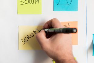 Scrum и AI-продажи — обзор большого осеннего релиза Timetta