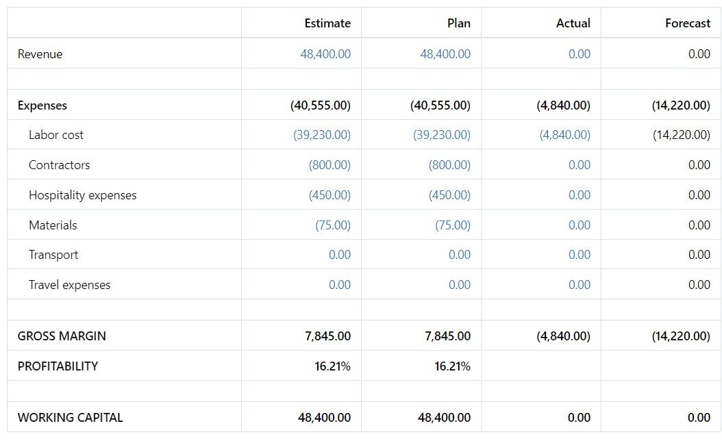Profit and Loss Statement